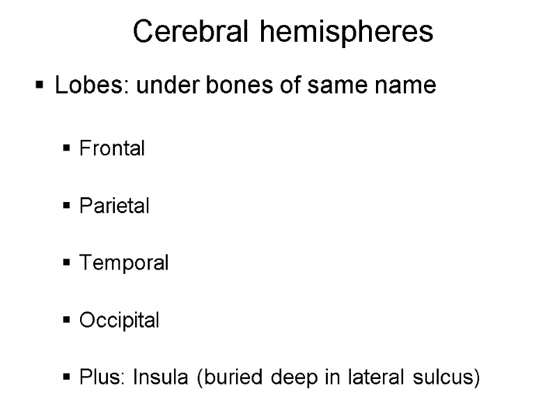 Cerebral hemispheres Lobes: under bones of same name  Frontal  Parietal  Temporal